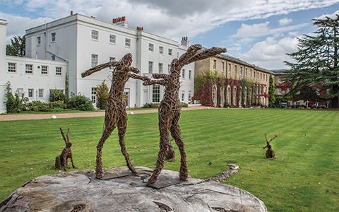 De Vere Orchard Hotel